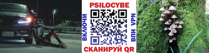 Купить где  Зарайск  Галлюциногенные грибы мицелий 